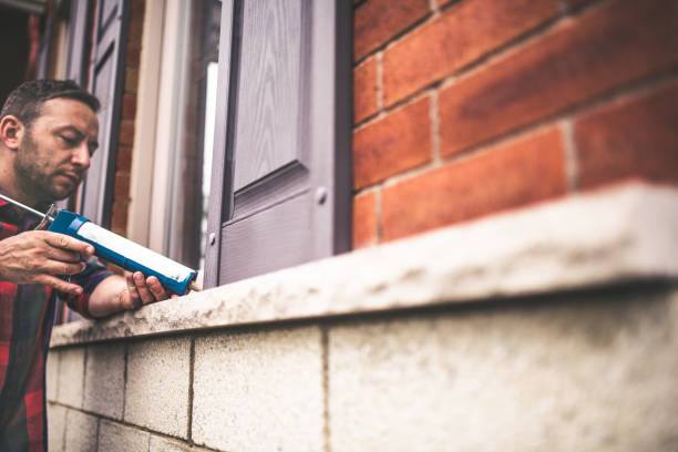 Best Insulation Removal  in Schertz, TX