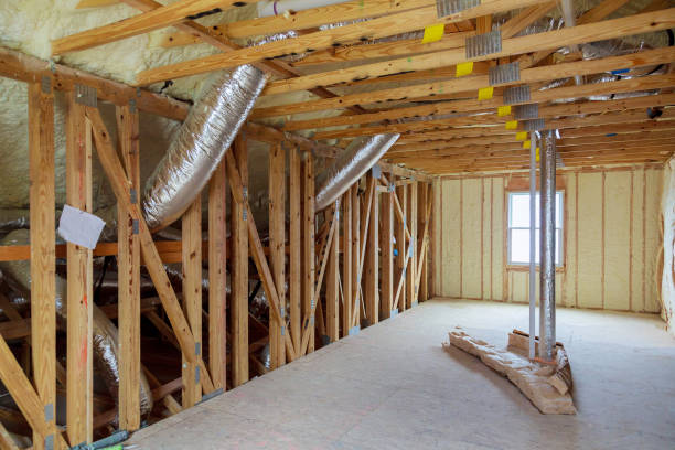 Best Insulation Contractors for Homes  in Schertz, TX