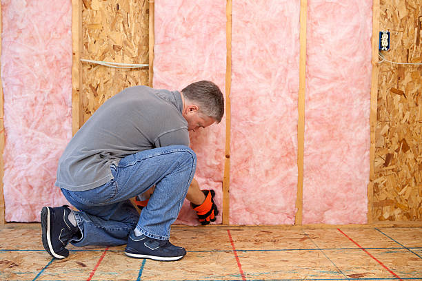Best Affordable Insulation Services  in Schertz, TX