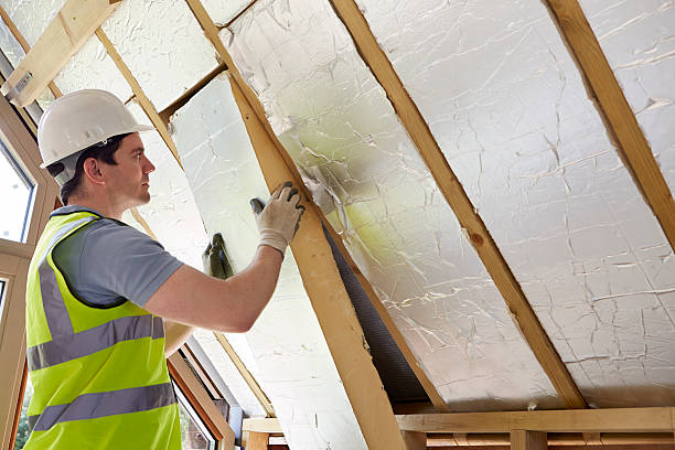 Best Crawl Space Insulation  in Schertz, TX